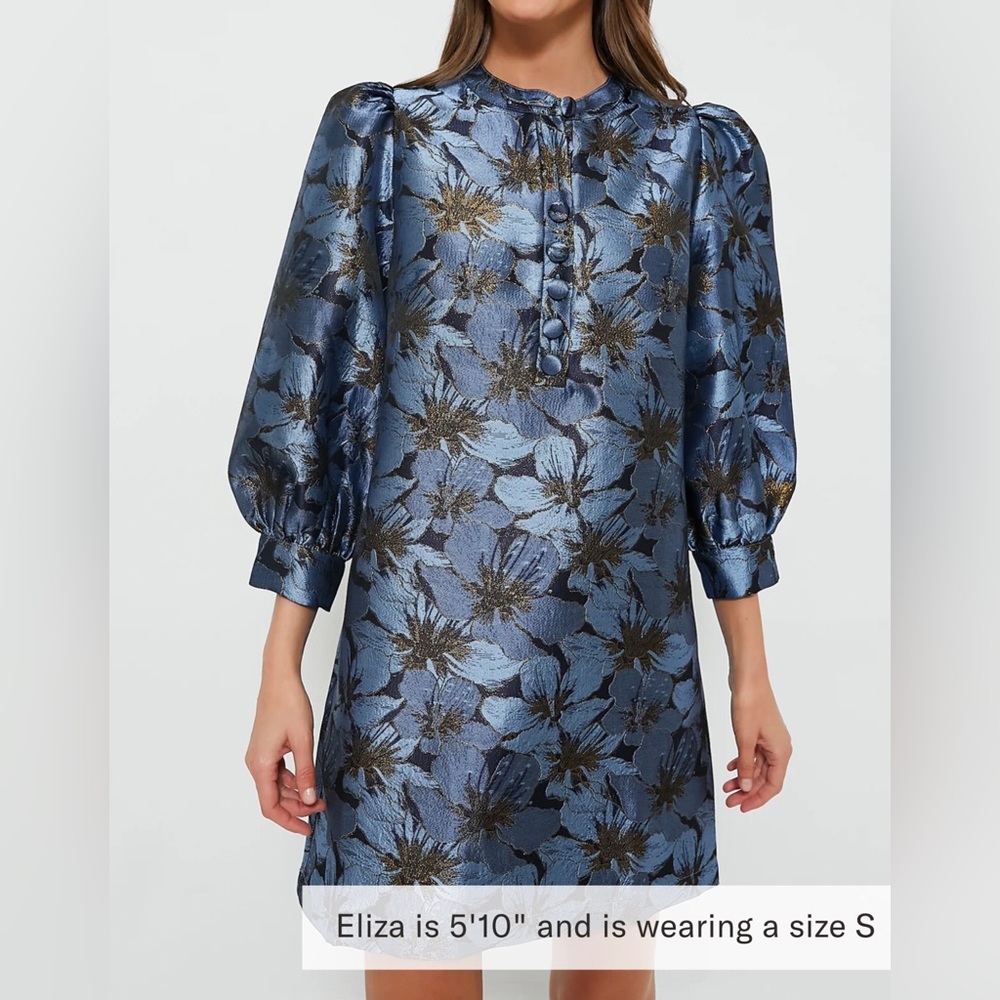 NWT Tuckernuck POMANDER PLACE
Blue Blossom Jacquard Samantha Dress